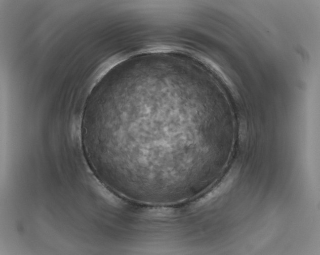 X0000112031417200908101328