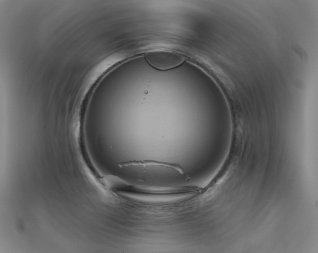 X0000112031418200908101328