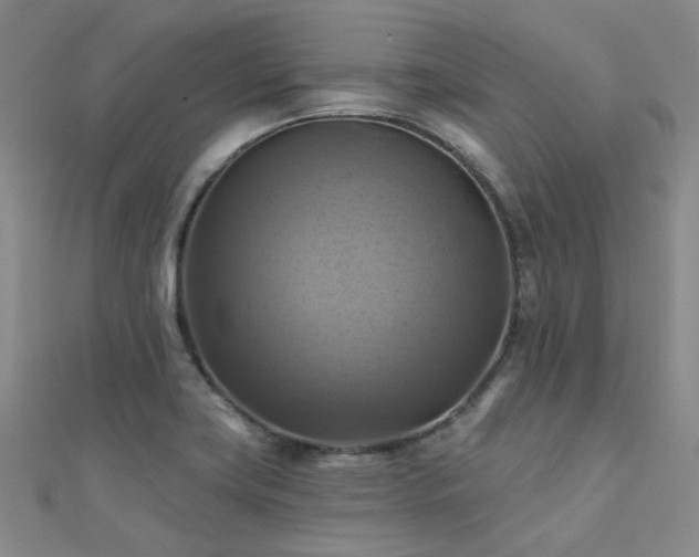 X0000112031419200908101328