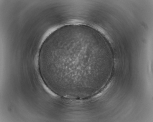 X0000112031421200908101328