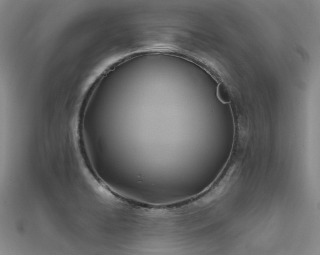 X0000112031422200908101328