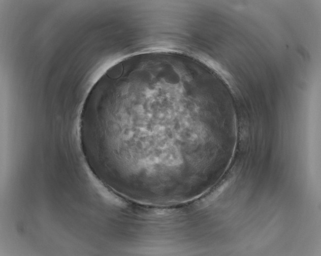 X0000112031423200908101328