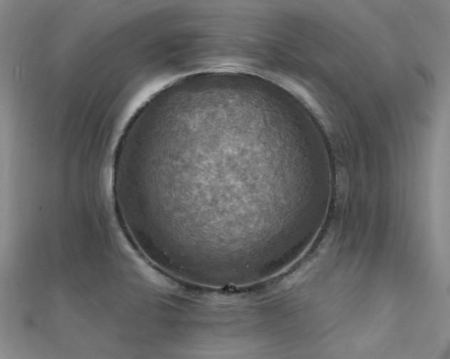 X0000112031424200908101328