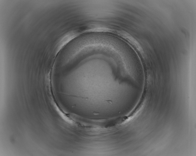 X0000112031425200908101328