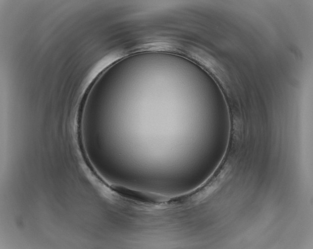 X0000112031426200908101328