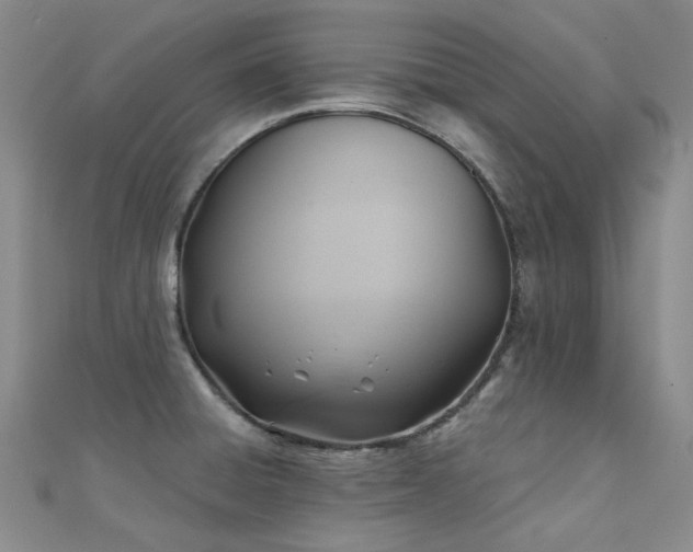 X0000112031428200908101328