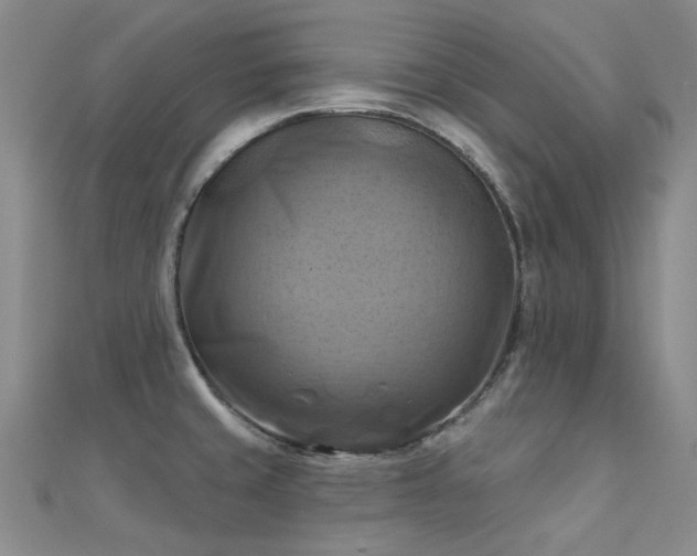 X0000112031429200908101328