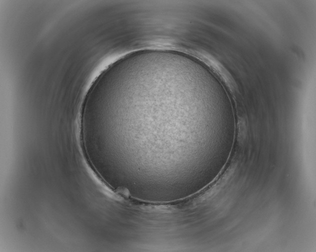 X0000112031432200908101328