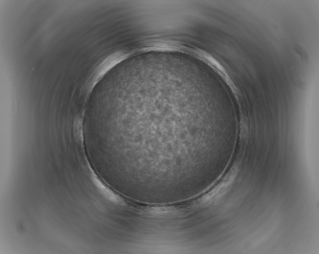 X0000112031433200908101329