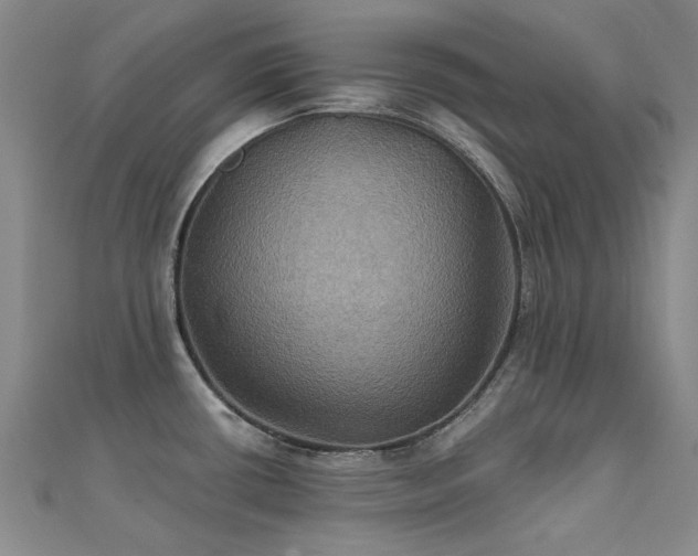 X0000112031434200908101329