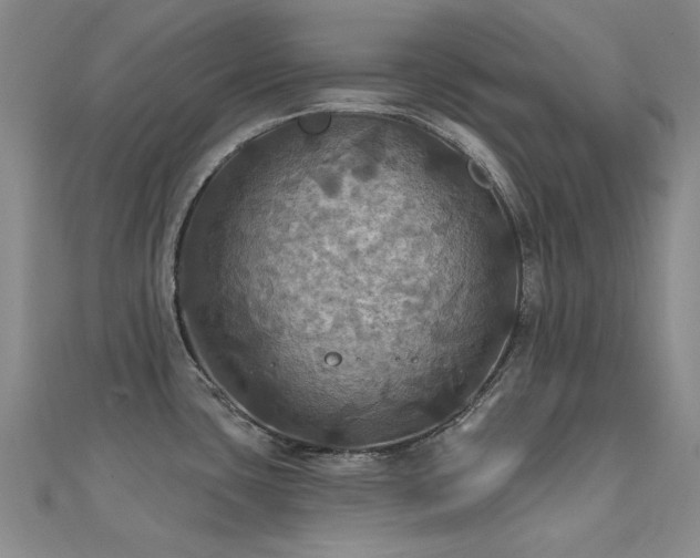 X0000112031435200908101329