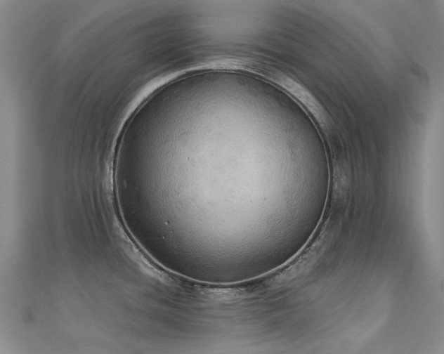 X0000112031436200908101329