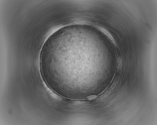 X0000112031439200908101329