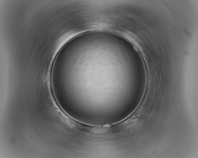 X0000112031440200908101329