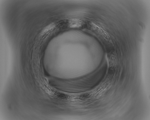 X0000112031441200908101328