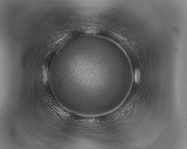 X0000112031444200908101328