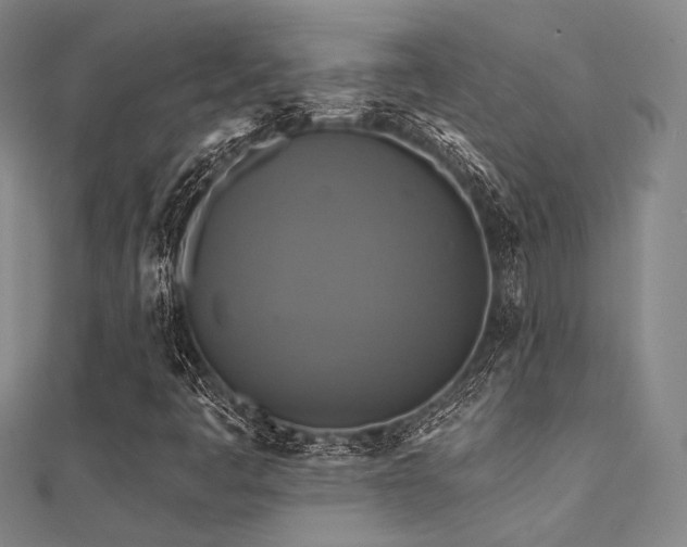 X0000112031445200908101328