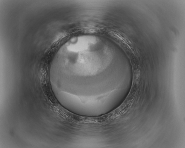 X0000112031446200908101328