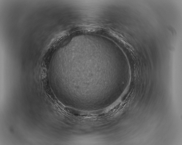 X0000112031447200908101328