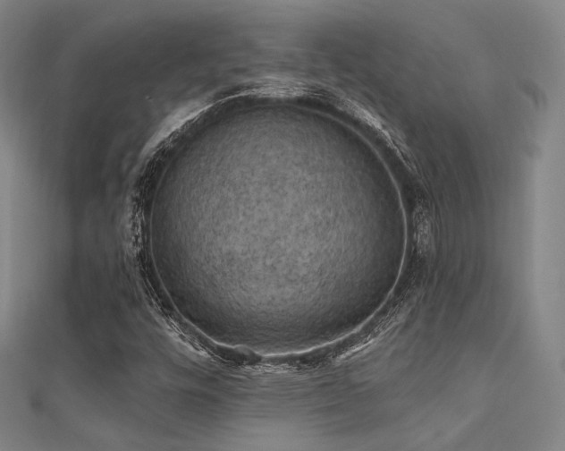 X0000112031448200908101328