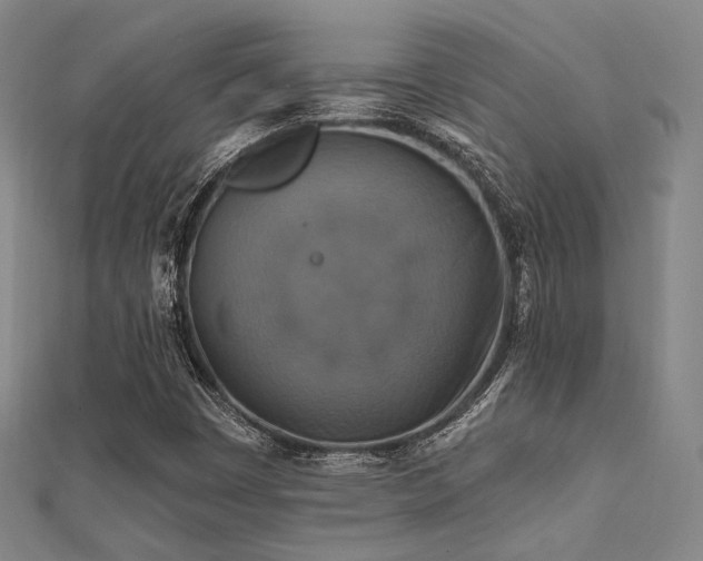 X0000112031449200908101328
