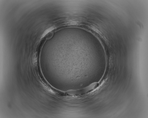 X0000112031450200908101328