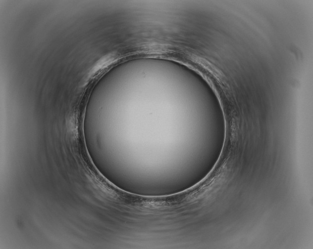 X0000112031451200908101328