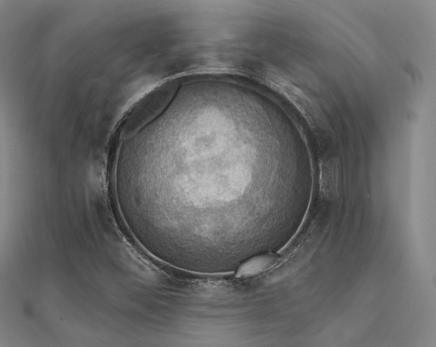 X0000112031452200908101328