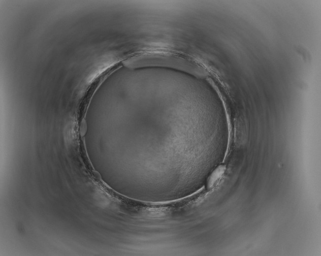 X0000112031453200908101328