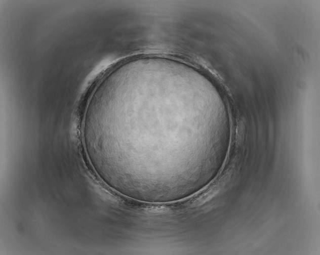 X0000112031454200908101328
