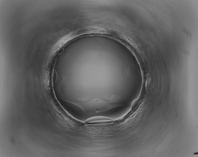 X0000112031455200908101328