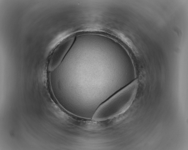 X0000112031456200908101328
