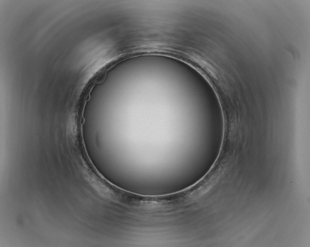 X0000112031458200908101328