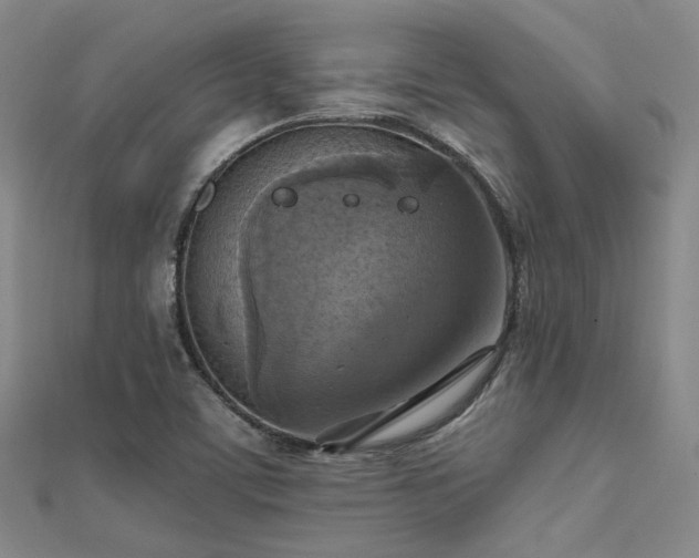X0000112031459200908101328