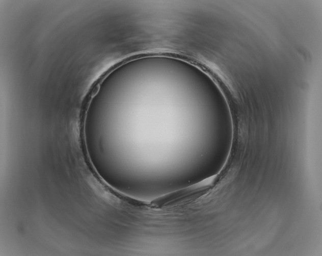 X0000112031460200908101328