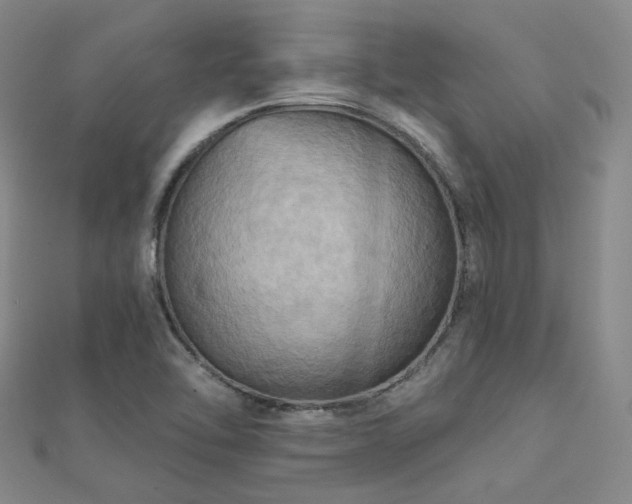 X0000112031462200908101328