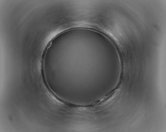 X0000112031463200908101328