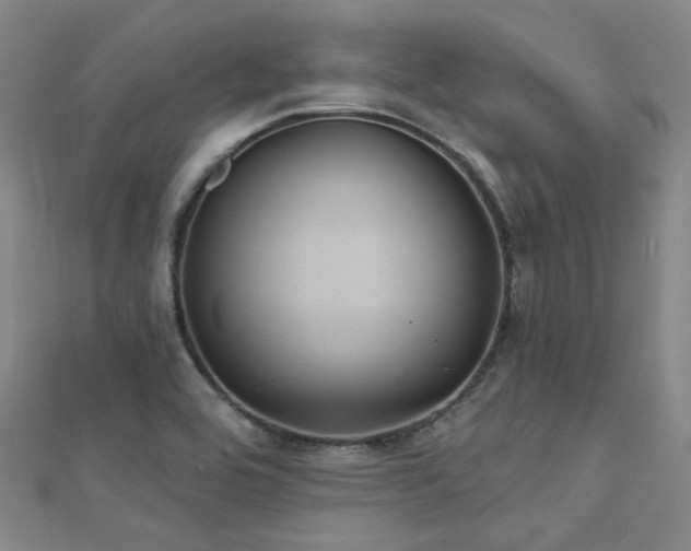 X0000112031464200908101328