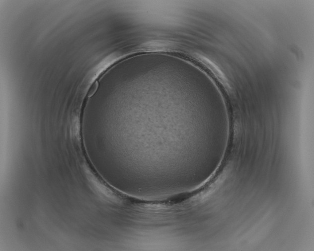X0000112031465200908101328