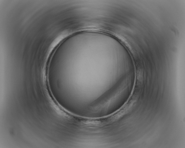 X0000112031466200908101328