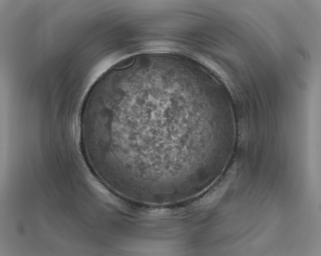 X0000112031467200908101328