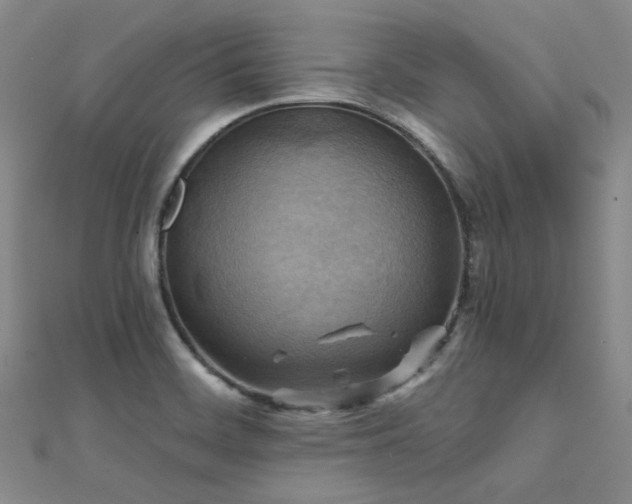 X0000112031468200908101328