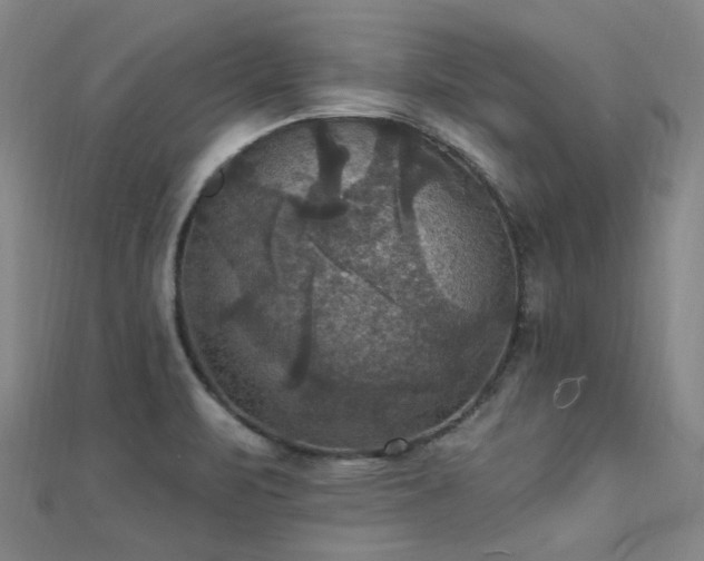 X0000112031471200908101328