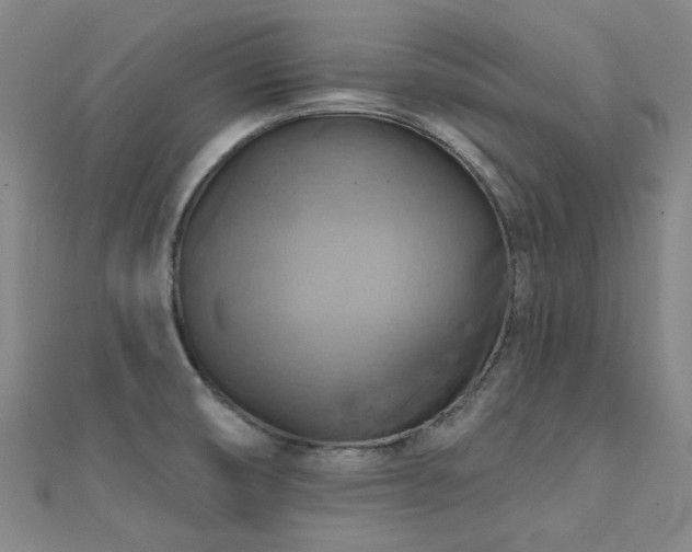 X0000112031474200908101328