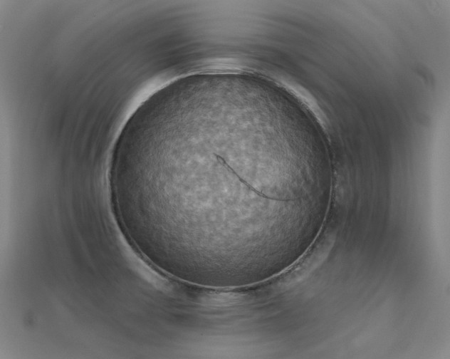 X0000112031475200908101328