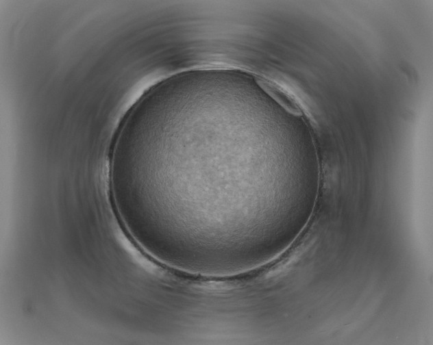 X0000112031476200908101328
