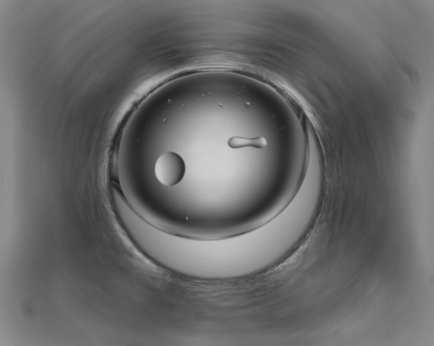 X0000112031477200908101328