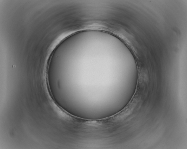X0000112031478200908101328
