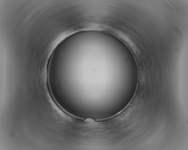 X0000112031479200908101328