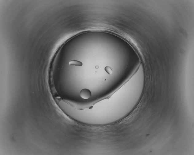 X0000112031480200908101327